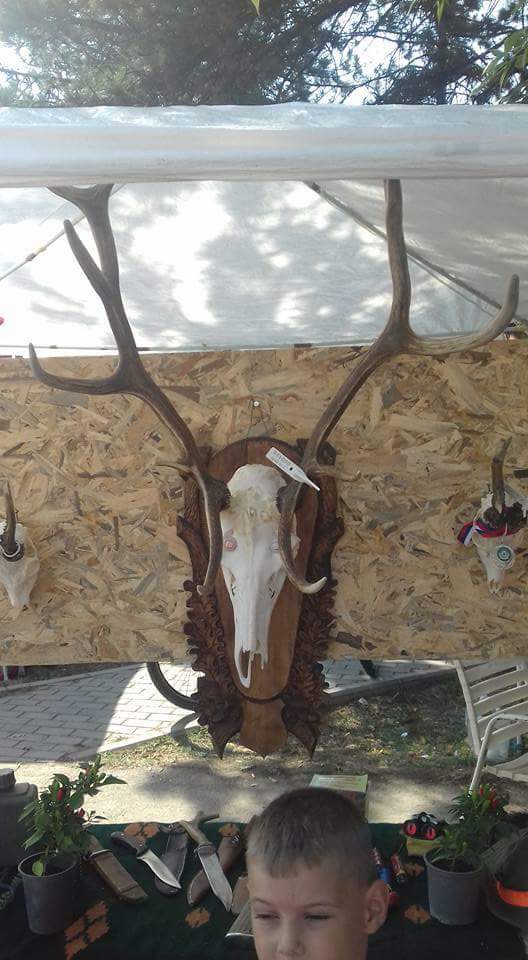 Štand LS Drenovac na manifestaciji "Dani paprike Drenovac 2017." 05.09.2017.