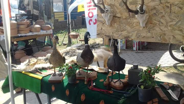 Štand LS Drenovac na manifestaciji "Dani paprike Drenovac 2017." 05.09.2017.