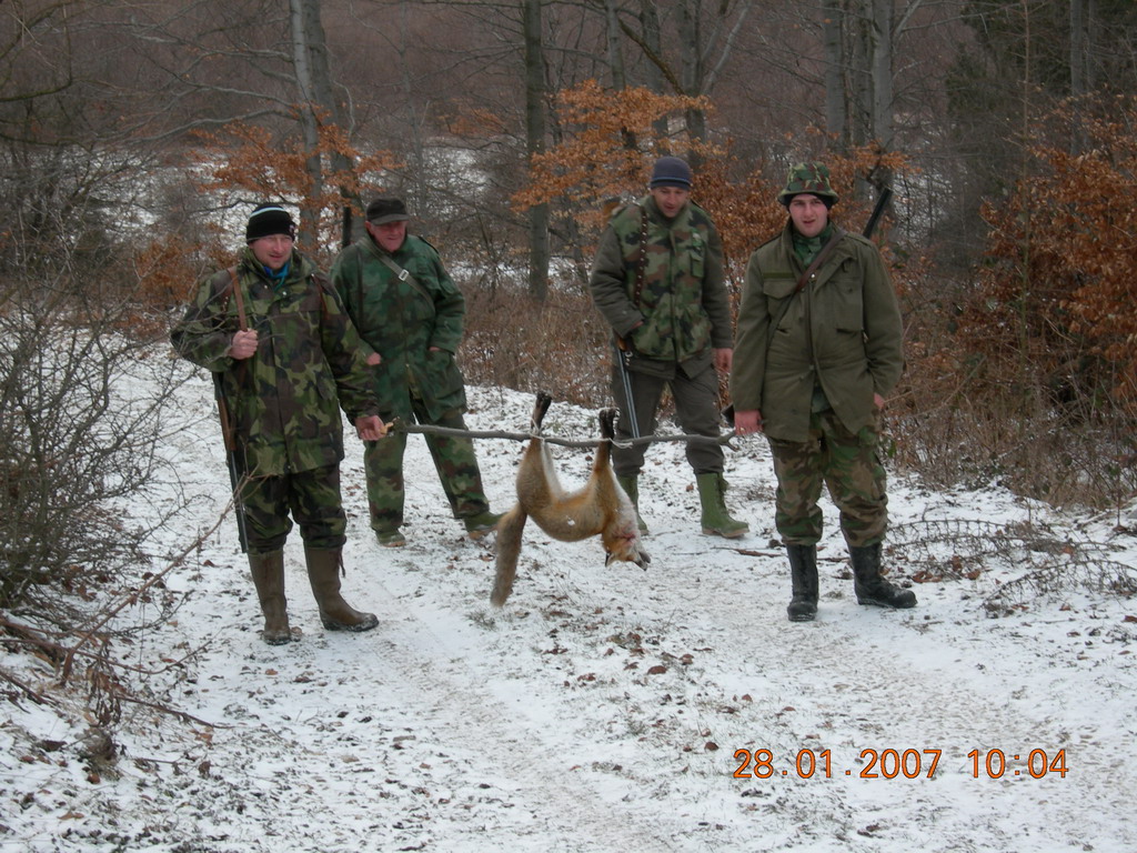 Odstreljena lisica