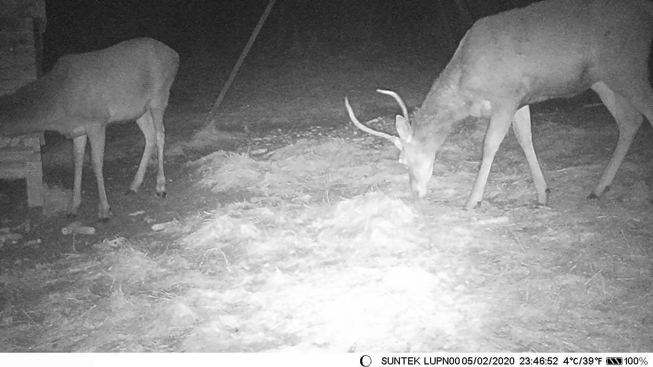 Hranilica 2021. godine