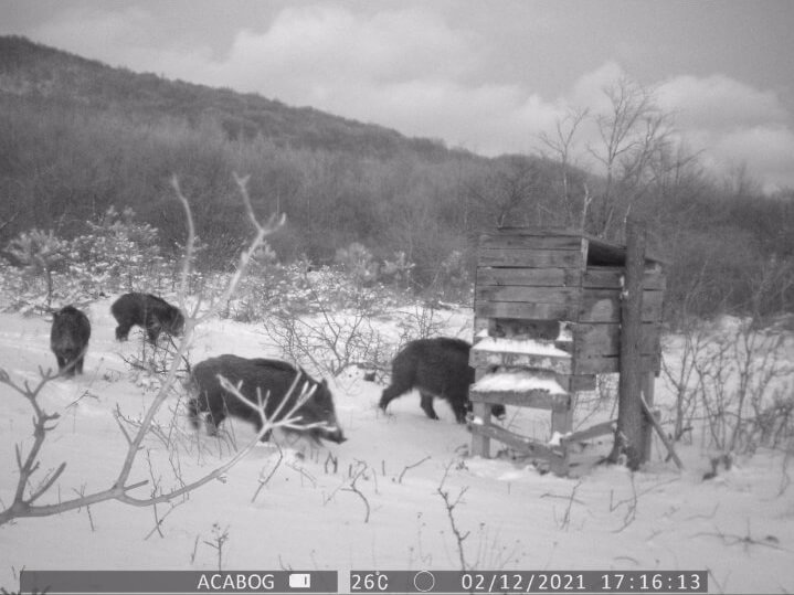 Hranilica 2021. godine