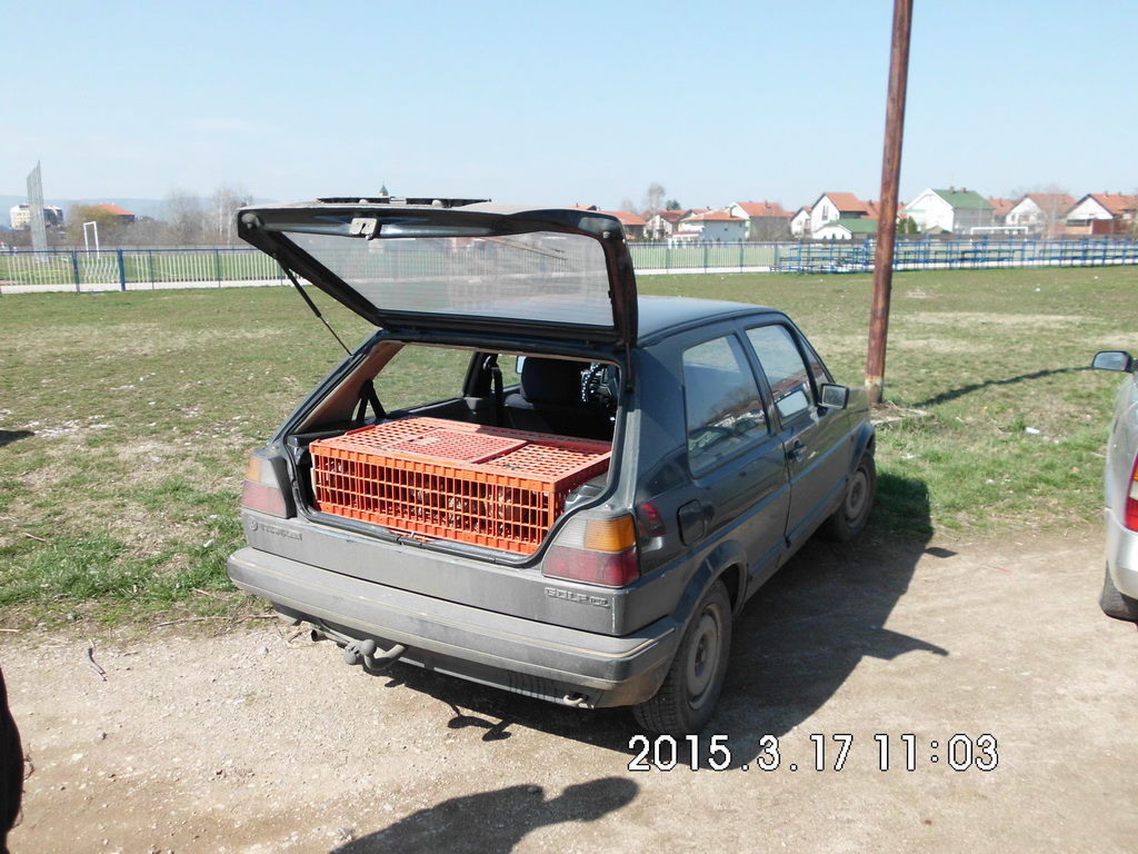 Ispuštanje fazana mart 2015.godine