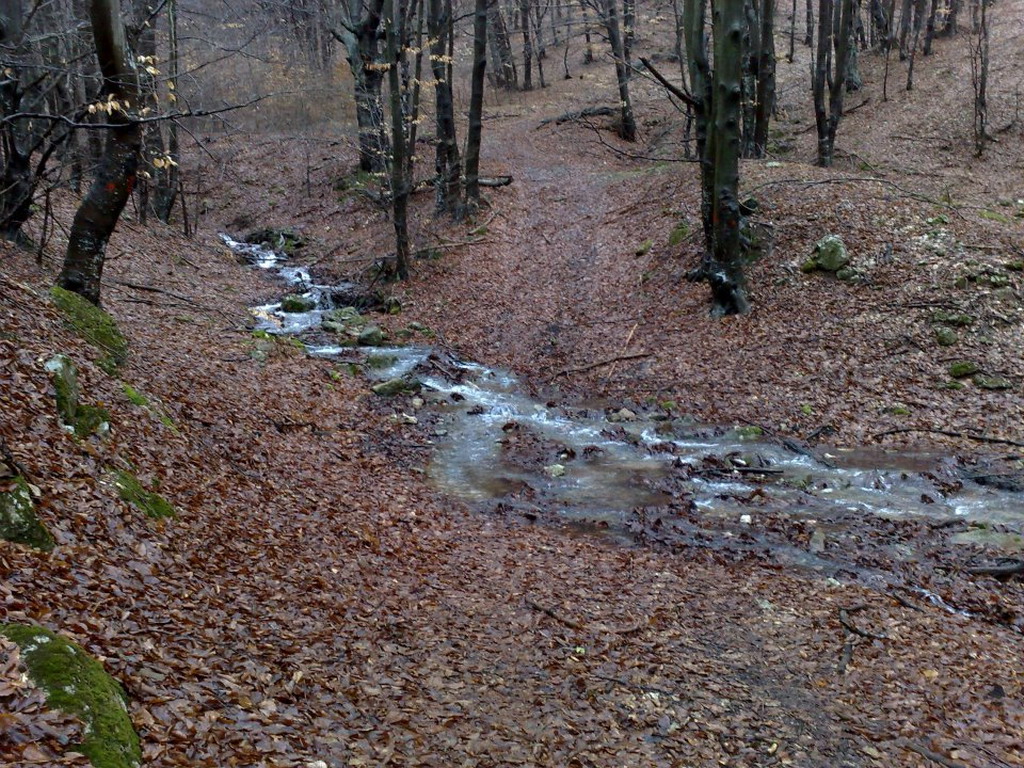 Lovište "Crnica"