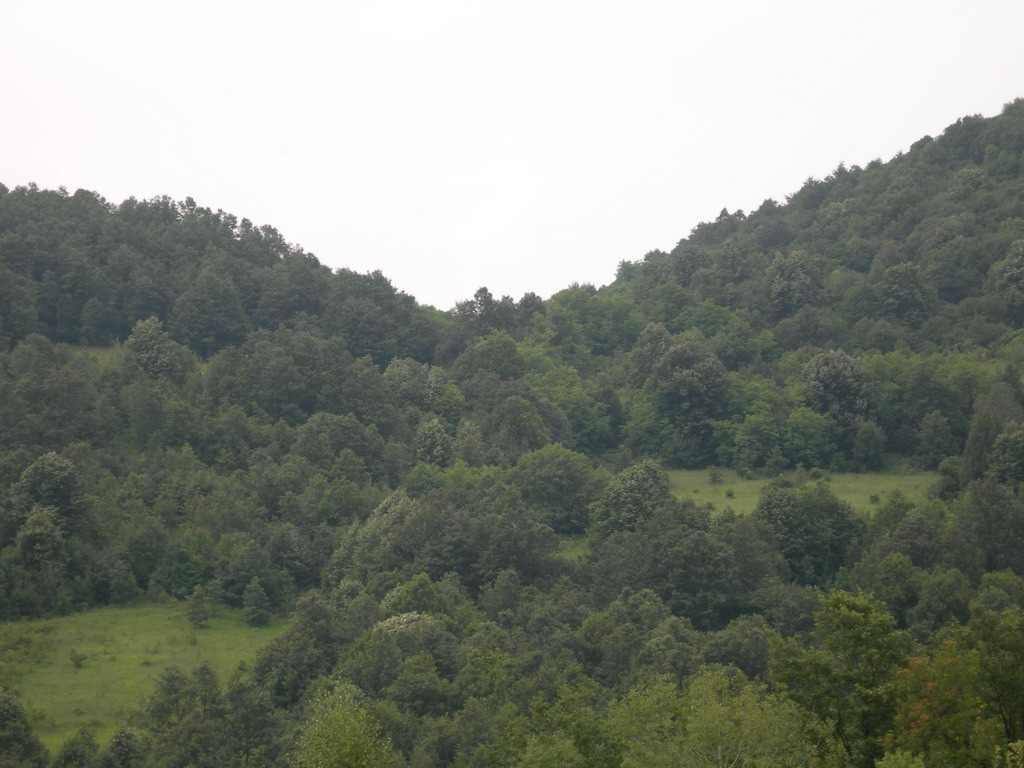 Lovište "Crnica"