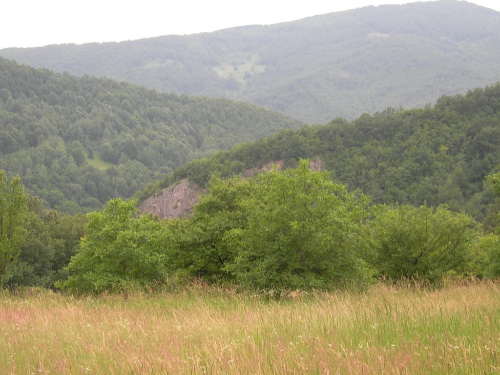 Lovište "Crnica"