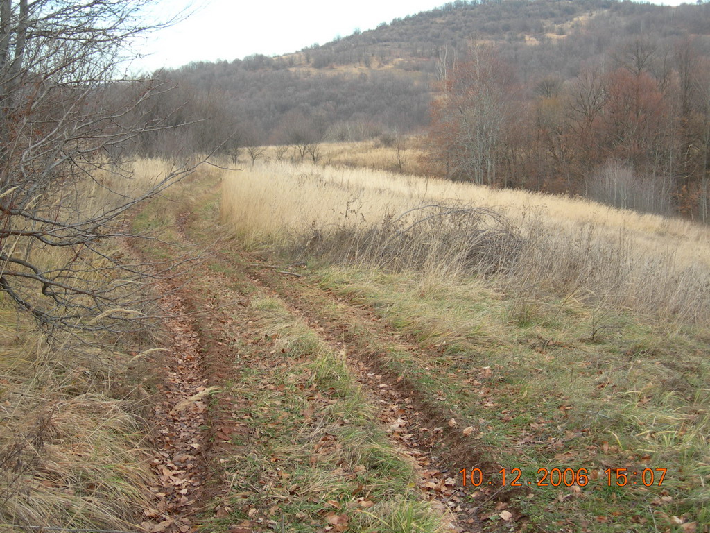 Lovište "Crnica"