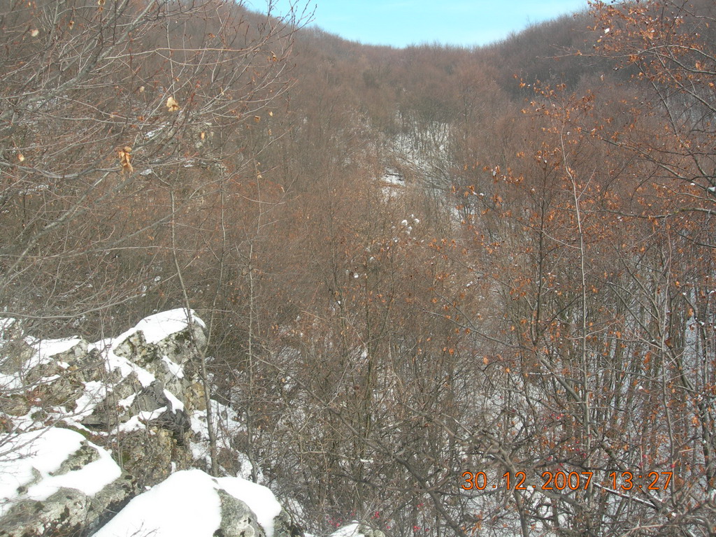 Lovište "Crnica"