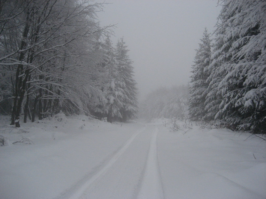 Lovište "Crnica"