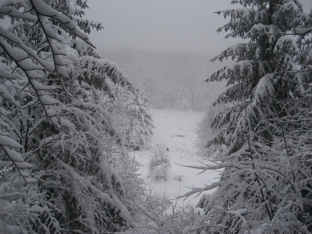Lovište "Crnica"