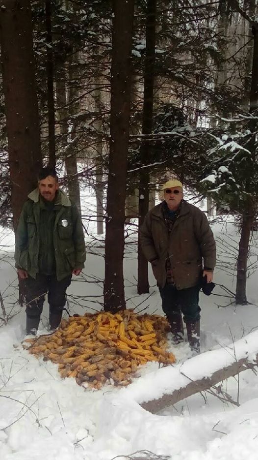 Prihrana divljači 2017.