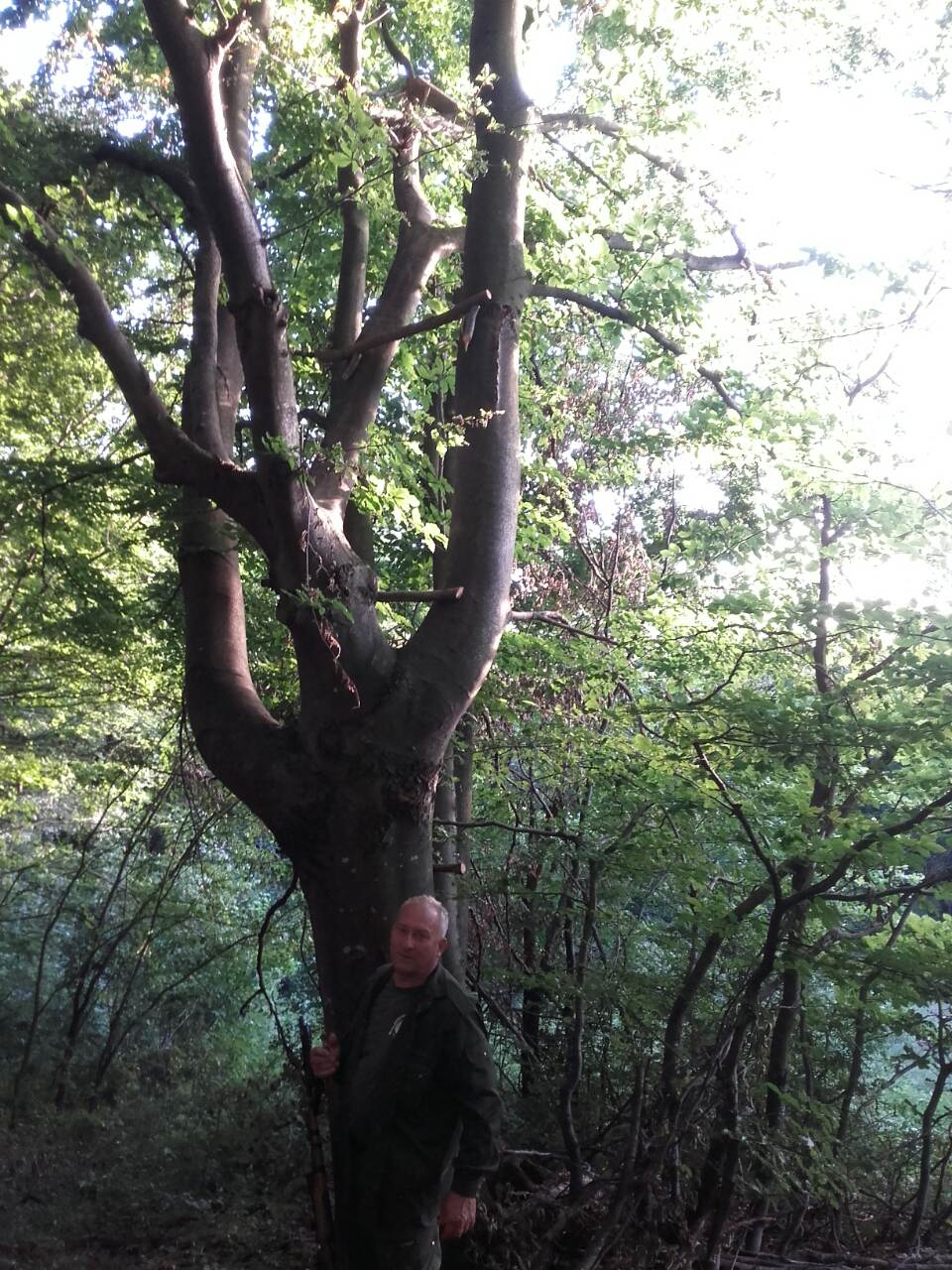 Obilazak terena 2017.