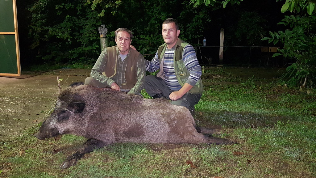 Bronzani vepar, 150 kg, Zoran Kuzmanović, Kragujevac