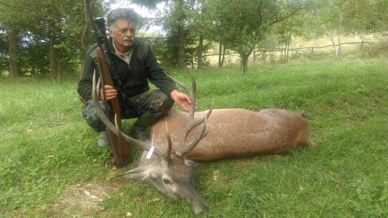 Evropski jelen, Predrag Bošković iz Pirota, 11.09.2016.
