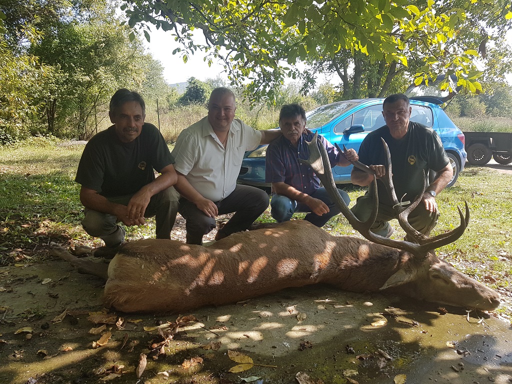 Evropski jelen, Predrag Bošković iz Pirota, 18.09.2018.