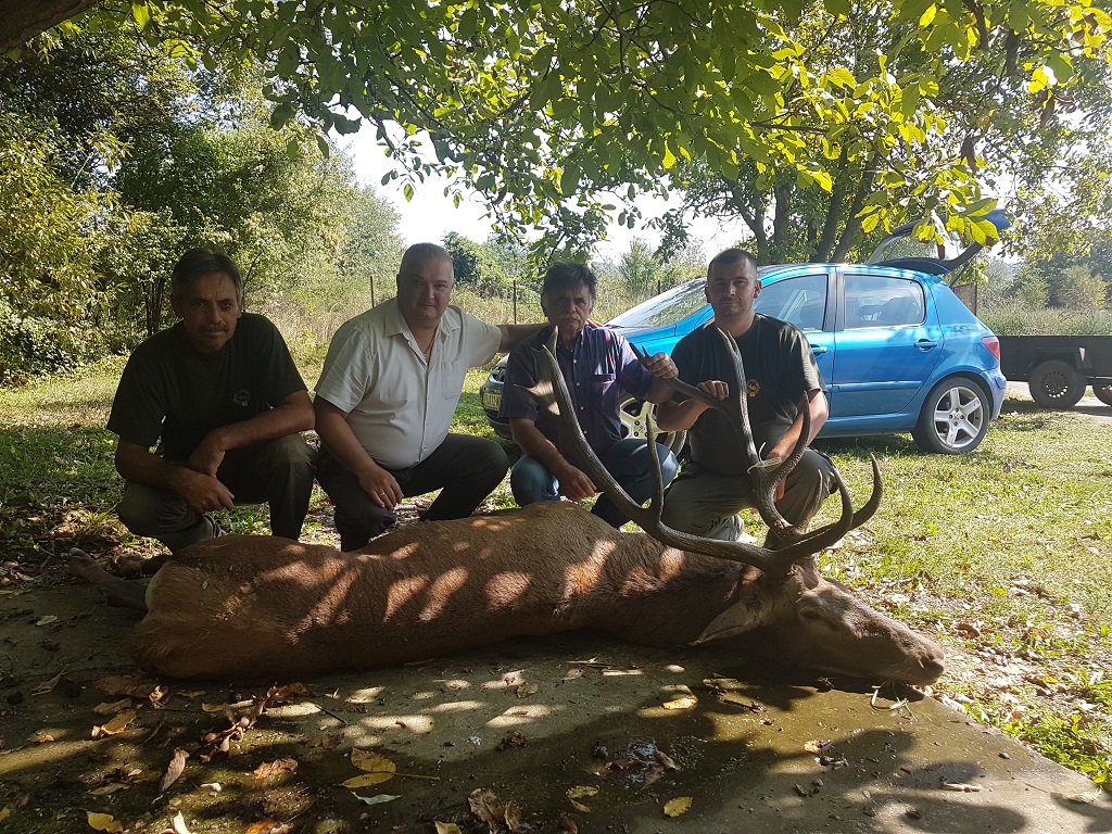Evropski jelen 192,39 CIC poena srebrna medalja, Predrag Bošković iz Pirota, 18.09.2018.