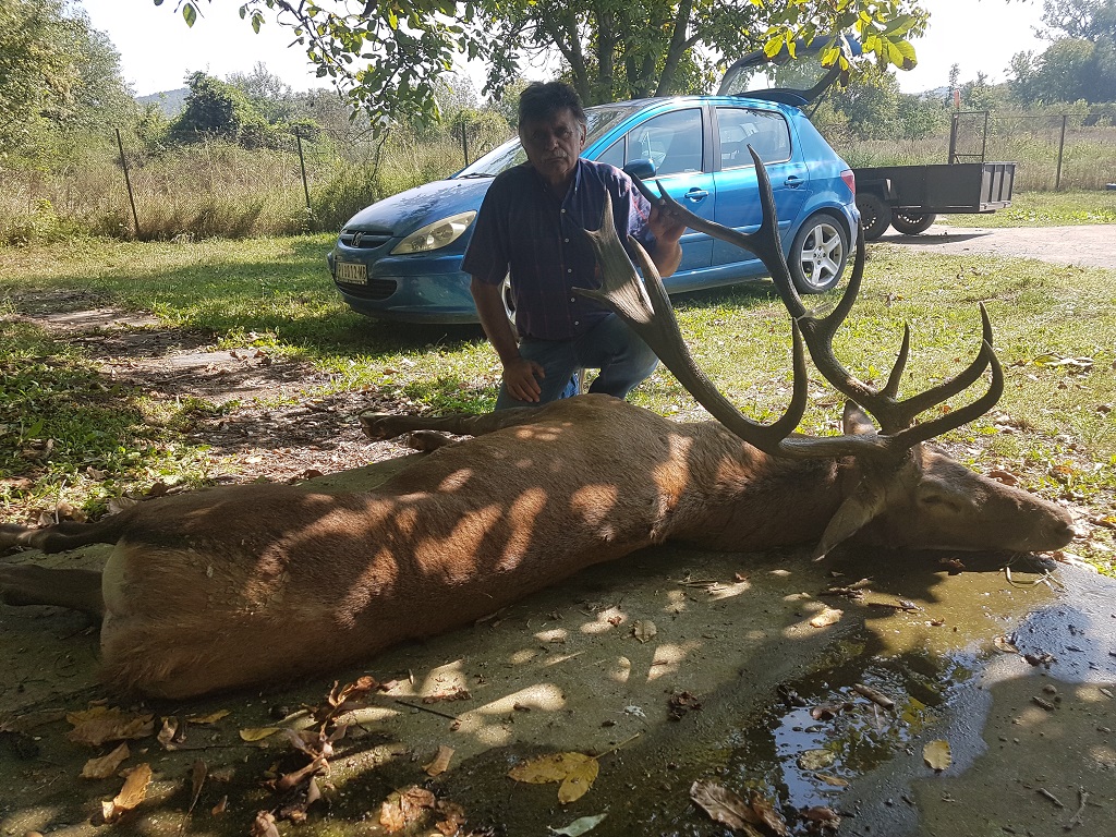 Evropski jelen 192,39 CIC poena srebrna medalja, Predrag Bošković iz Pirota, 18.09.2018.