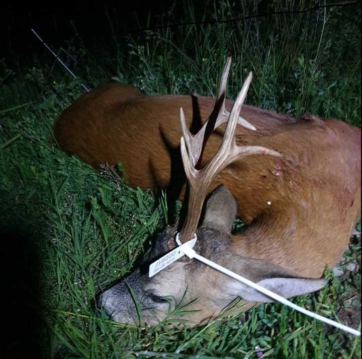 Trofej iz 2021. godine