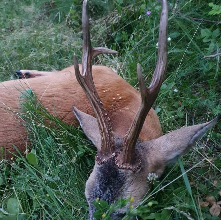 Trofej iz 2021. godine