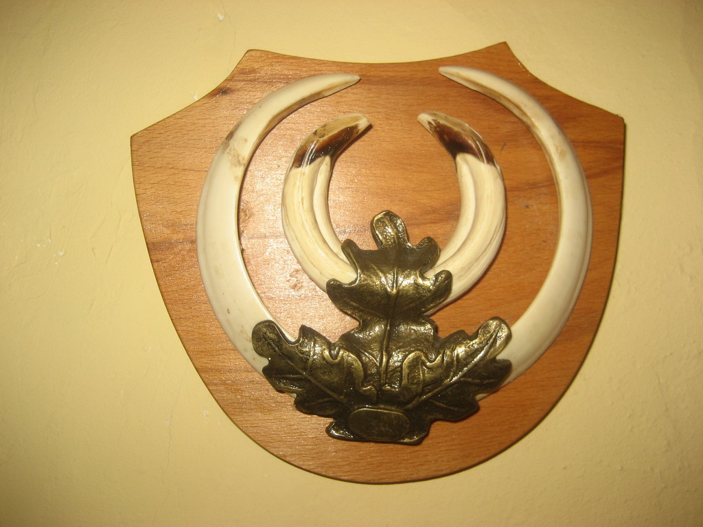 Trofej iz lovišta "Crnica"