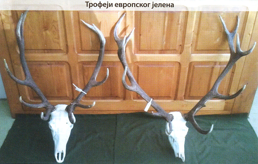 Srebrni i bronzani trofeji evropskog jelena