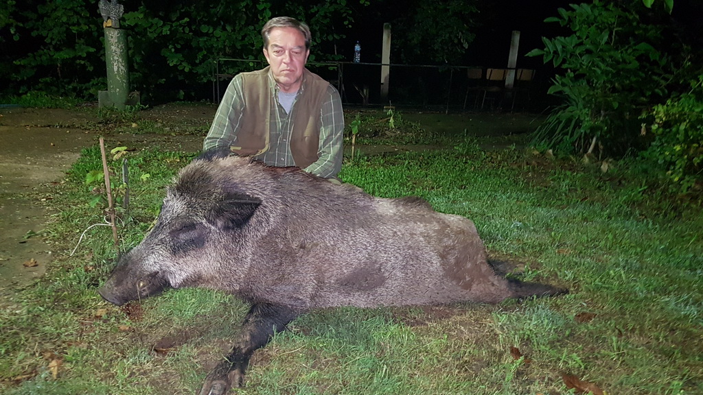 Bronzani vepar, 150 kg, Zoran Kuzmanović, Kragujevac