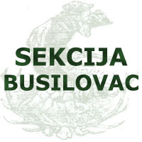 Lovačka sekcija Busilovac