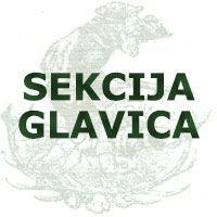 Lovačka sekcija Glavica
