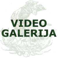 Video galerija LU "Paraćin"- Paraćin